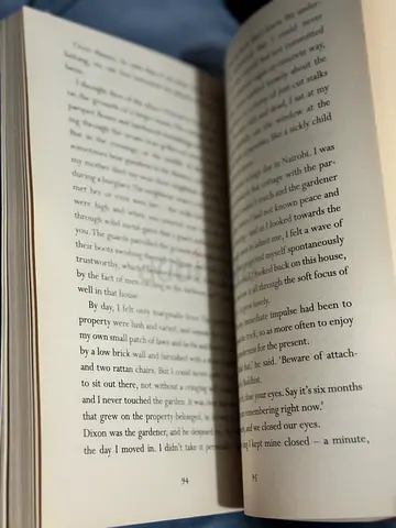 Used paperback novel — gently read, good condition