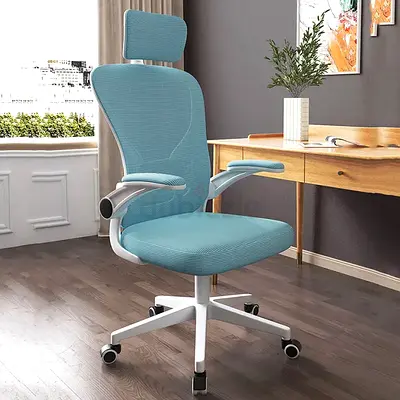 Ergonomic Mesh Office Chair with Headrest