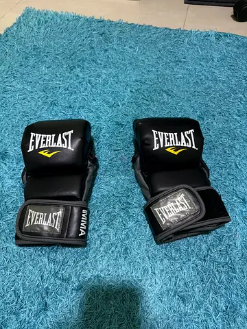 Everlast mma sparring gloves