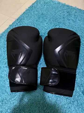 Venum 14oz gloves