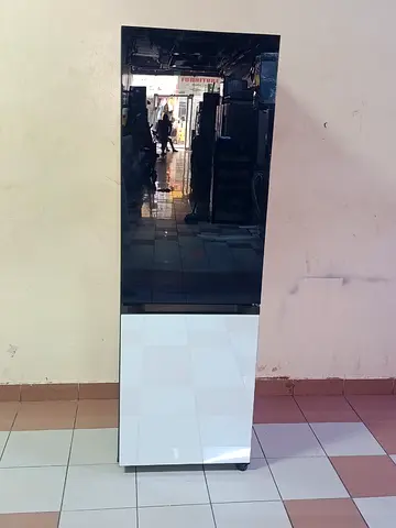 Samsung Brand latest model fridge and freezer