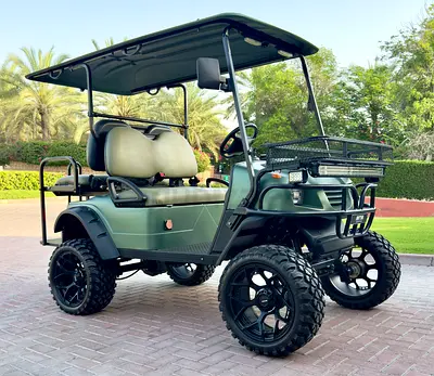 High Performance Upgraded Golf Cart Buggy, 40km/h speed, Off-Roading, 23inch wheels, Lithium Battery
