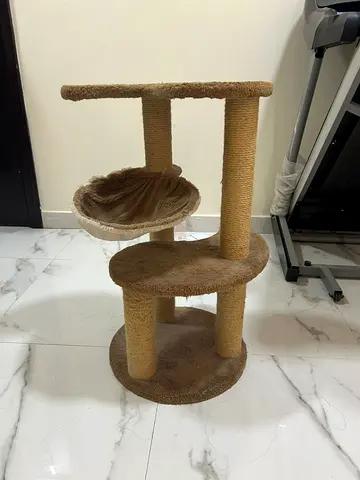 Cat Scratcher/Lounge