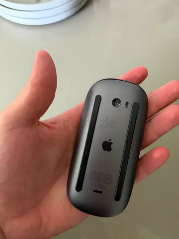 Apple Magic Mouse Space Gray Edition