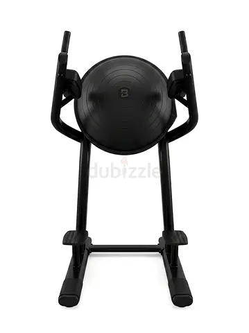 The Leg Raise/Vertical Knee Raise machine