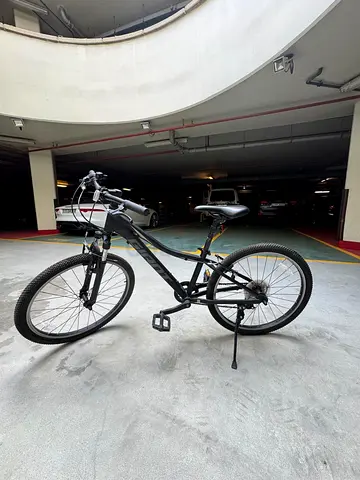Giant XTC junior mountain bike