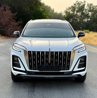 Hongqi HS3 Luxury Pro, миниатюра 3