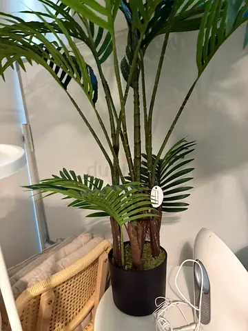 Artificial Olive Tree + Palm Tree | Realistic Indoor Plants | JLT, Dubai