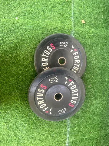 10kg weight plate bumper