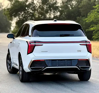 Hongqi HS3 Luxury Pro, миниатюра 4