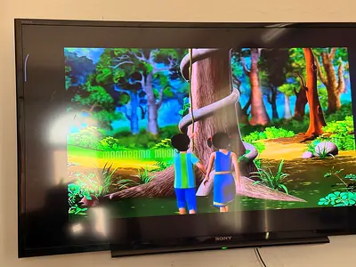 Sony Bravia Flat Panel TV