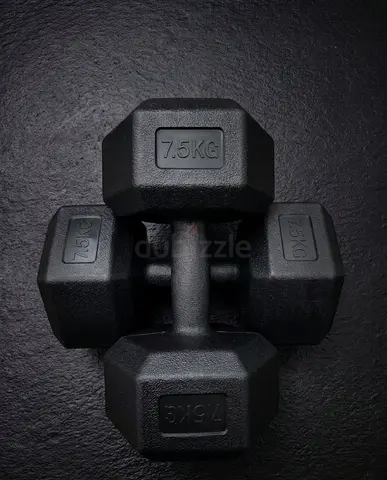 Pair of hex rubber-coated dumbbells