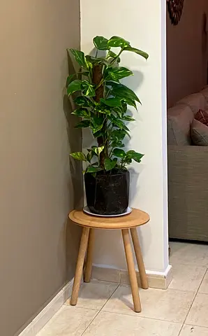 IKEA table and plant pot - WITHOUT PLANT