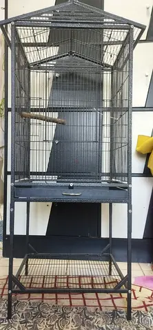 Birds metal cage