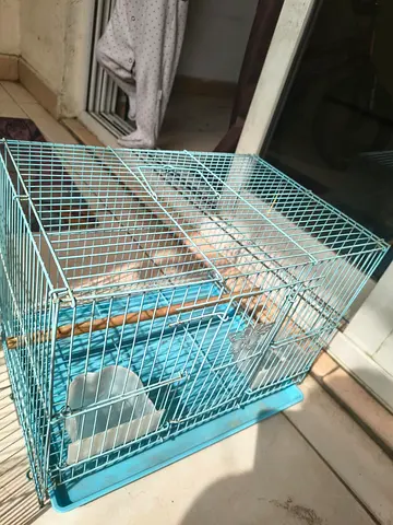 Blue bird cage with perch and tray