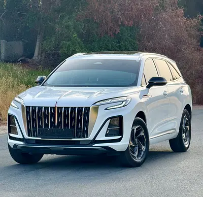 Hongqi HS3 Luxury Pro, миниатюра 20