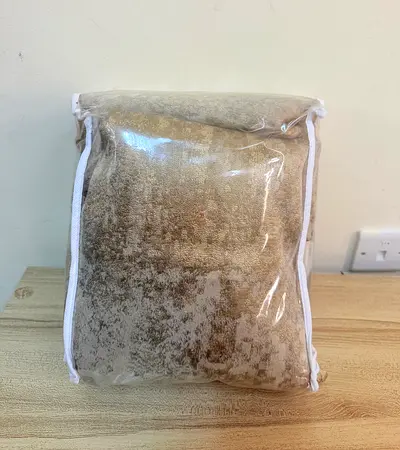 New SET curtain For Sale-URGENT