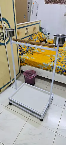 Birds sitting stand