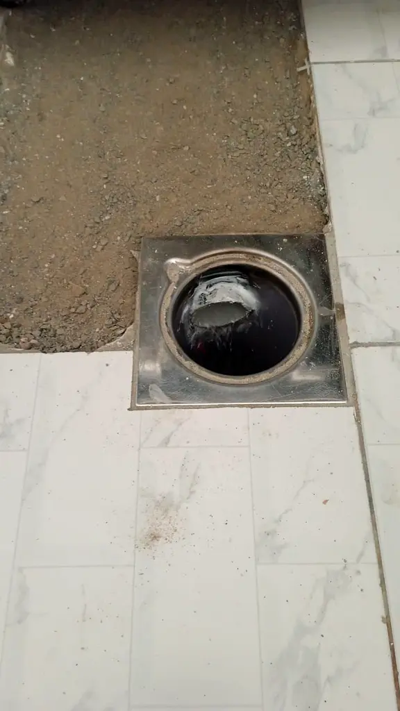 DPV_View_Image_3