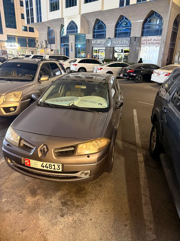 Renault Megane 2010 — photo 1 of 7