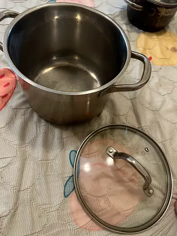 Induction Stainless Steel Cooking Pot with Glass Lid