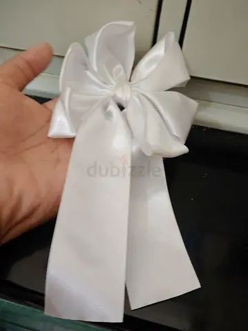 hair clip