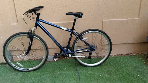Schwinn frame large good condition