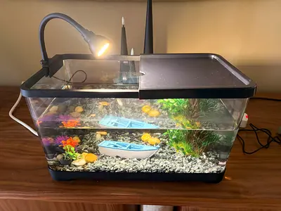 Fish tank