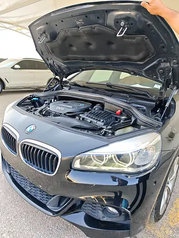2017 BMW 2-SERIES 照片 18
