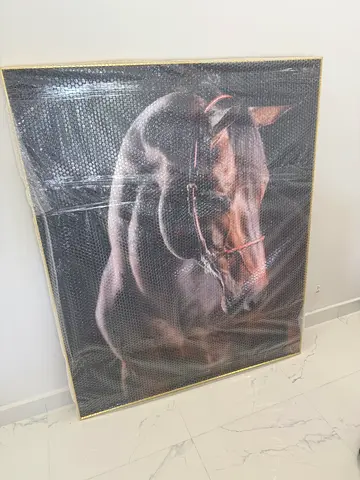 Picture horse