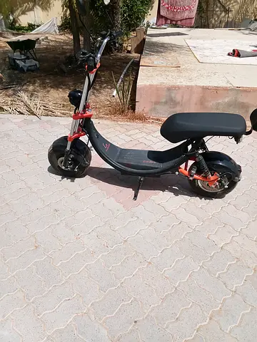 Elecronic biyke