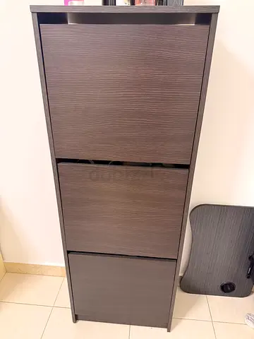 Shoe cabinet
