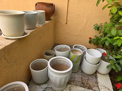 Collection of assorted ceramic plant pots - various sizes, good condition