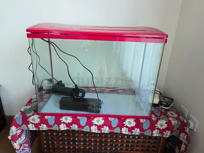 Large Glass Fish Aquarium Tank with Hood and Filter