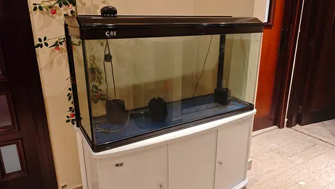 Large Glass Aquarium with White Cabinet Stand (price is negotiable)