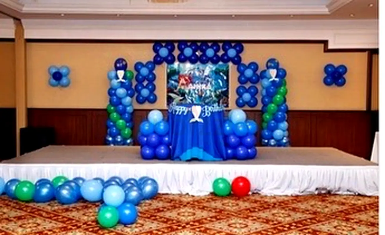 DPV_View_Image_4