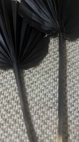 Pair of black decorative dried palm leaves (used)