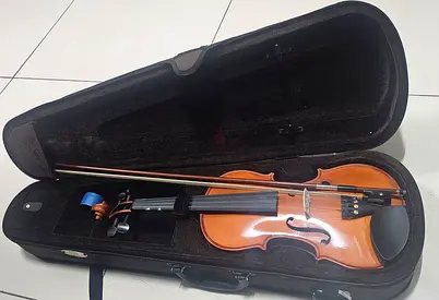 Full-size Violin with Case and Bow - Good Condition
