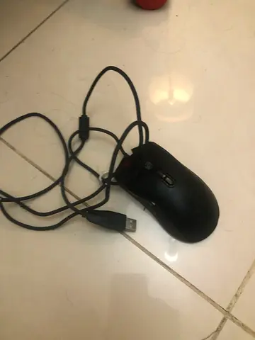 Mouse