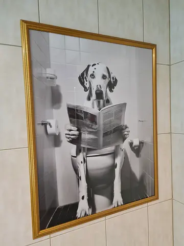 Framed black and white Dalmatian photography print size 80x65cm