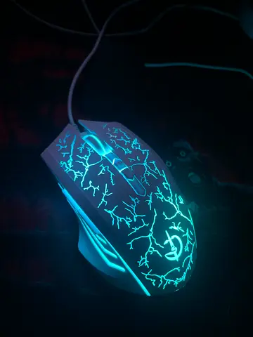 Mouse