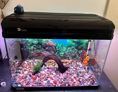 Complete 80cm Fish Aquarium tank Kit with Hood, Filter and Gravel