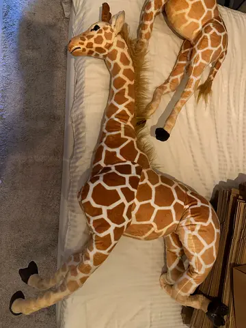 Pair of life-size plush giraffes