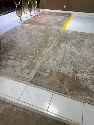 Large neutral-toned modern area rug, gently used