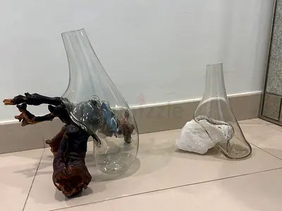 Pair of Decorative Glass Vases with Driftwood Inserts