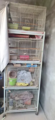 Set of 3 used bird cages with Cages stand