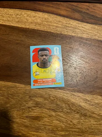 World Cup panini stickers