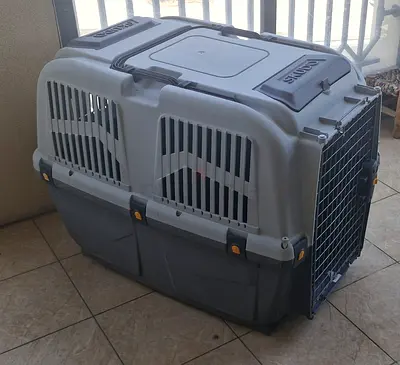 Large Pet Travel Carrier / Crate - Hard Plastic, Good Condition