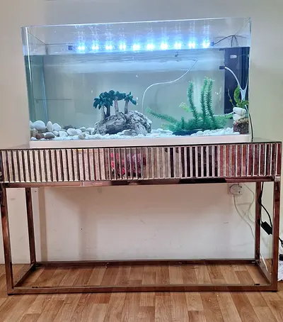 Aquarium with glass table