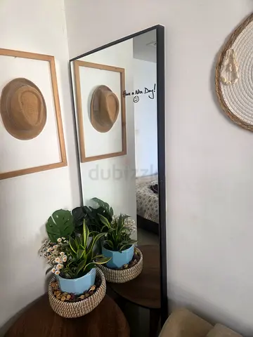 Mirror 60x180
